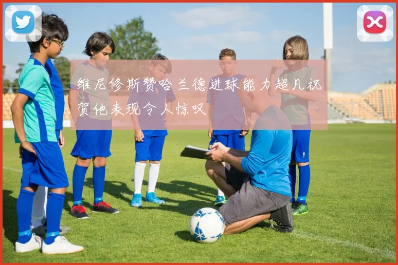 维尼修斯赞哈兰德进球能力超凡祝贺他表现令人惊叹