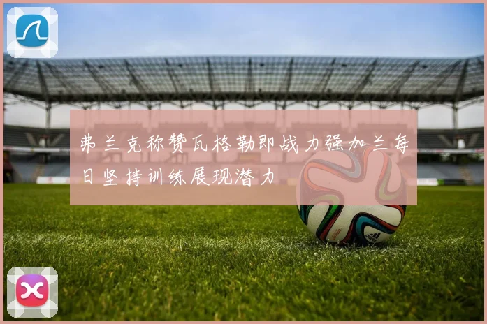 弗兰克称赞瓦格勒即战力强加兰每日坚持训练展现潜力